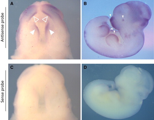 Figure 3