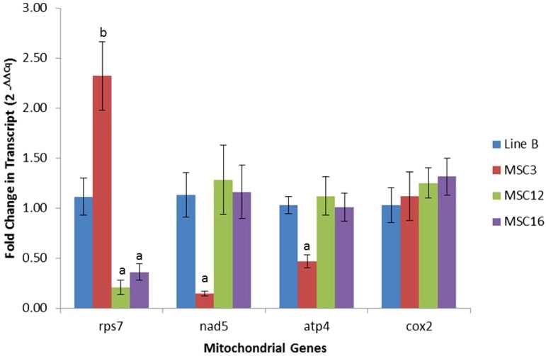 Figure 4