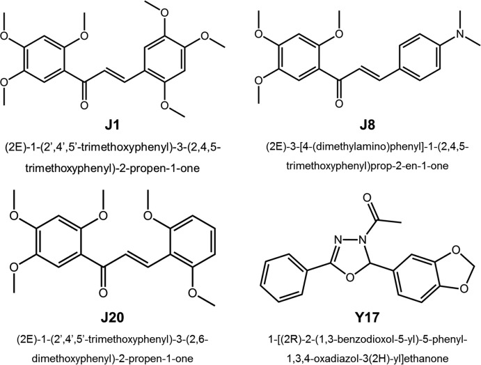 FIG 1