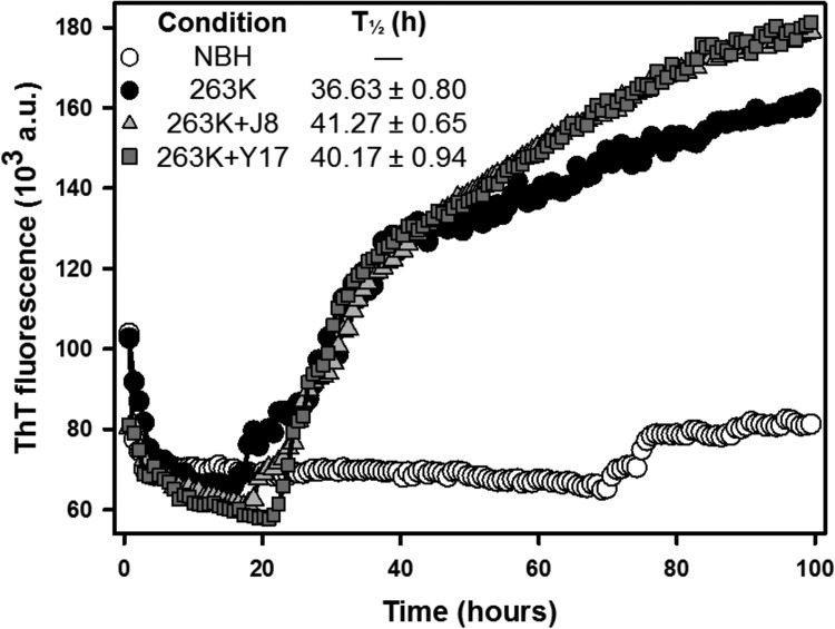 FIG 6