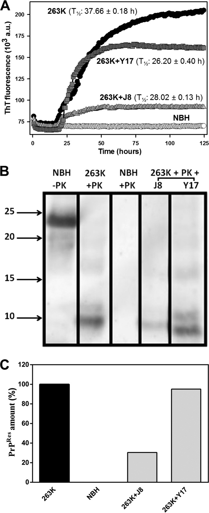 FIG 3