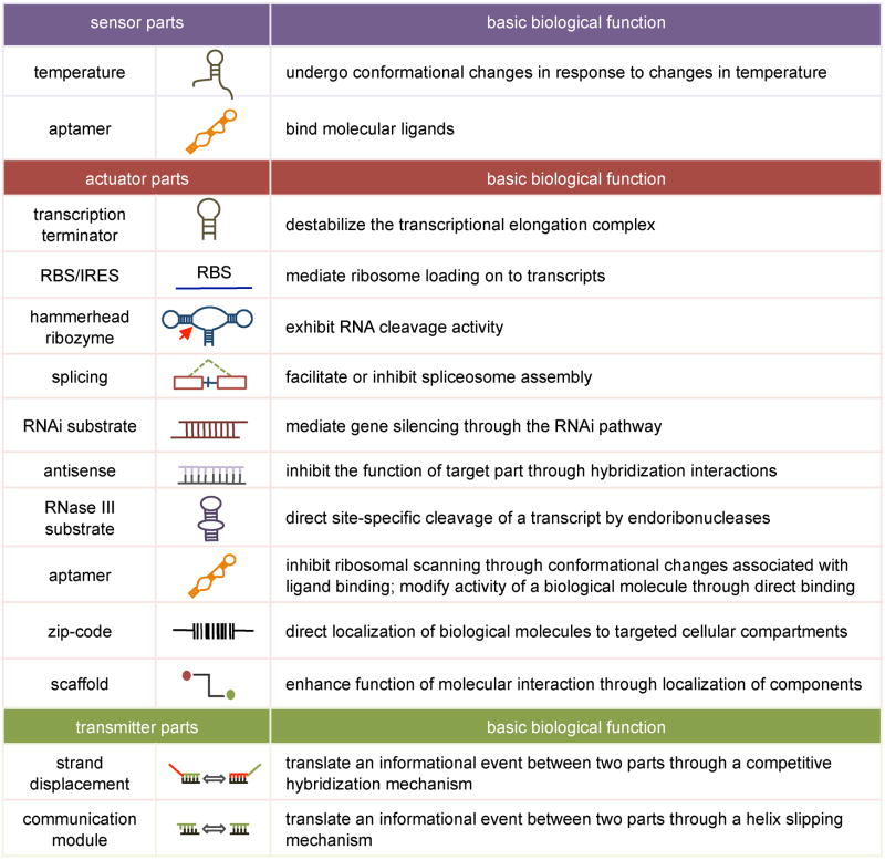 graphic file with name nihms100794f6.jpg