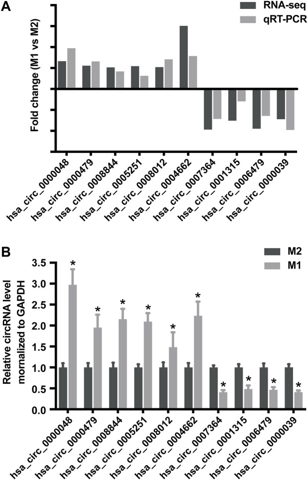 FIGURE 4