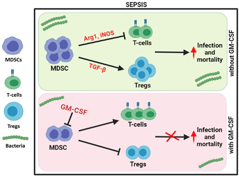 Figure 6