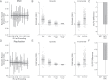 Figure 4—figure supplement 2.