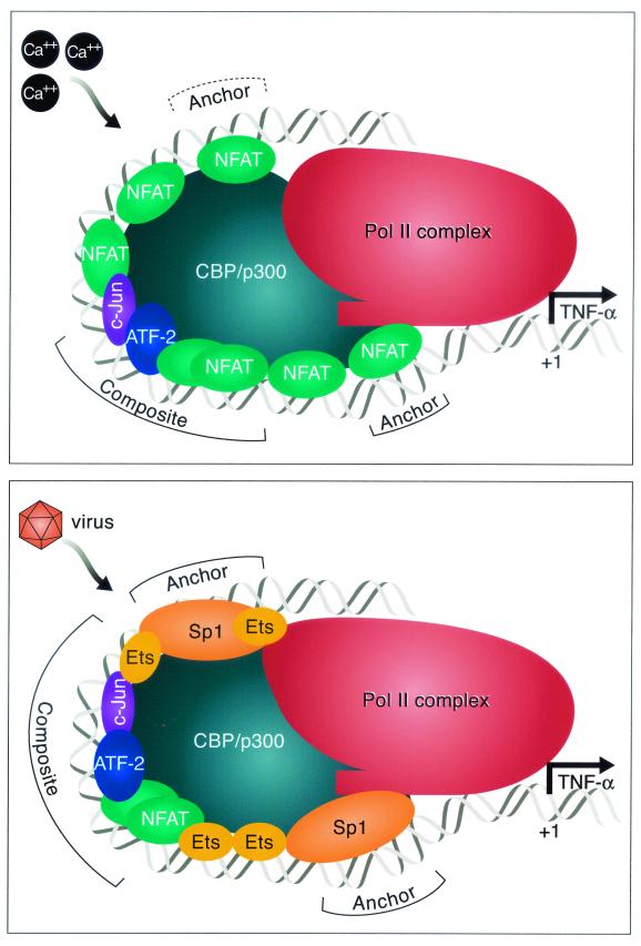 FIG. 7.