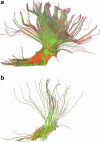 Fig. 6