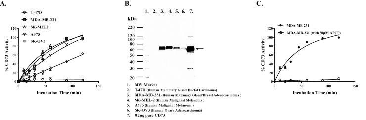 Fig 5