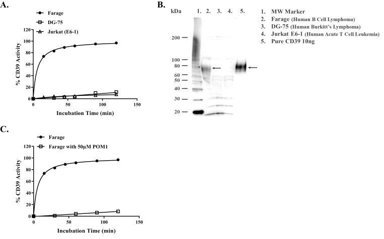 Fig 9