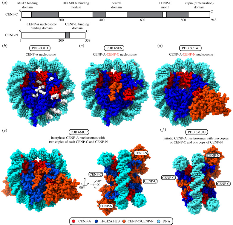 Figure 3.