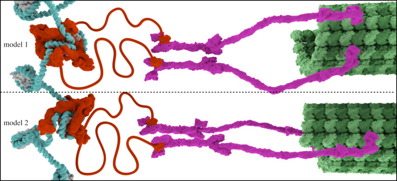 Figure 7.