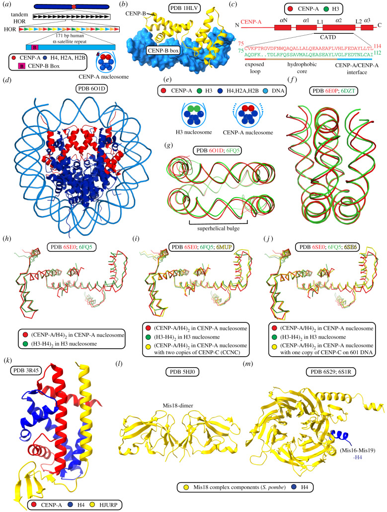 Figure 2.