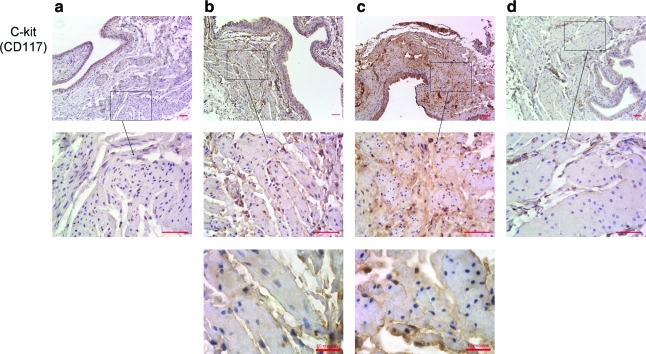 FIG. 8.