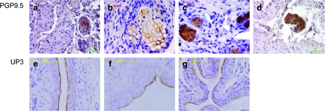 FIG. 9.