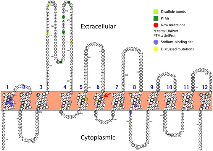 Figure 3.