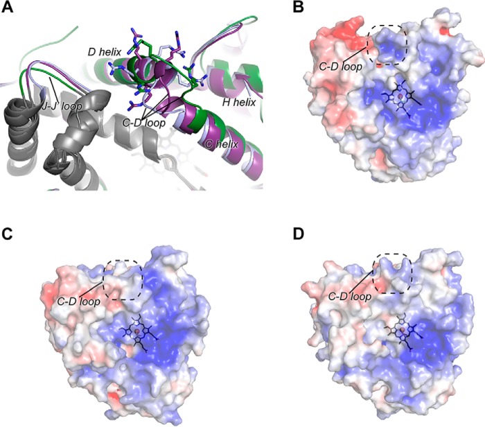 Figure 5.