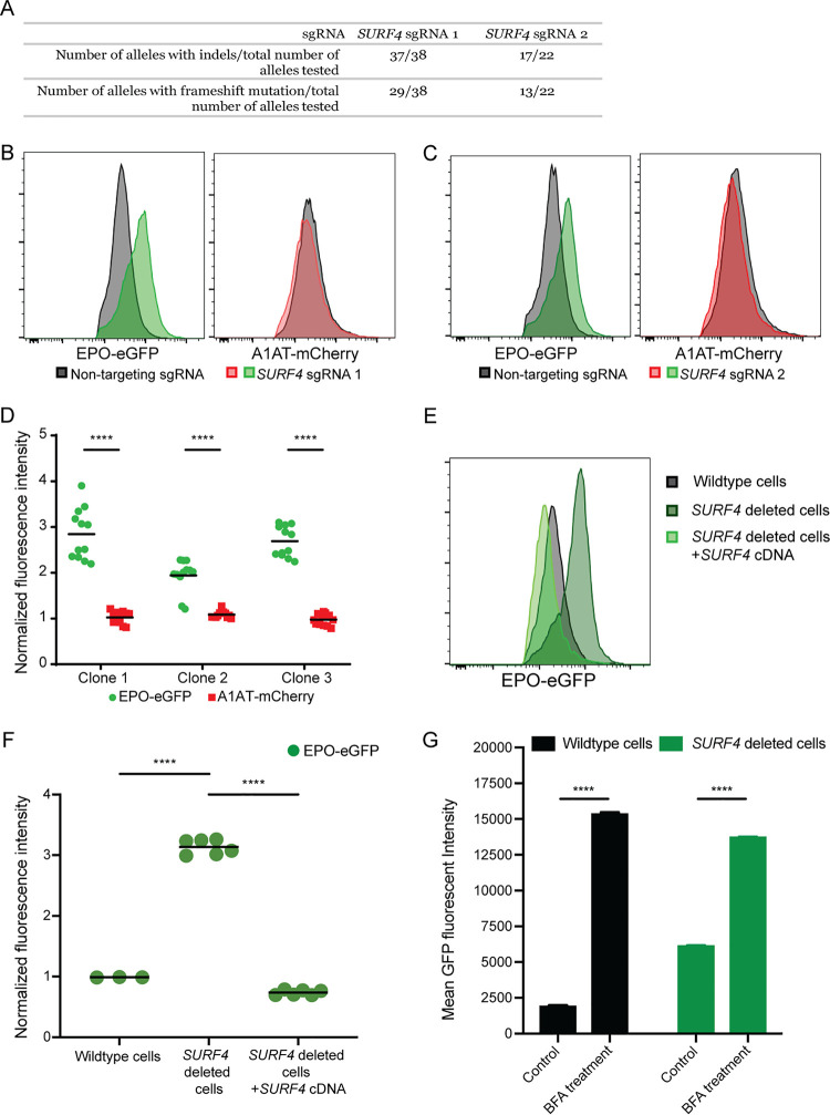 FIG 3