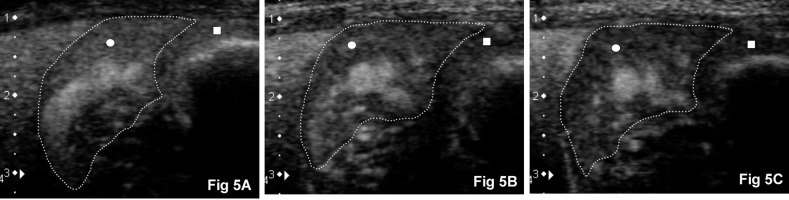 Fig. 5.