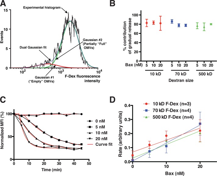 FIGURE 5: