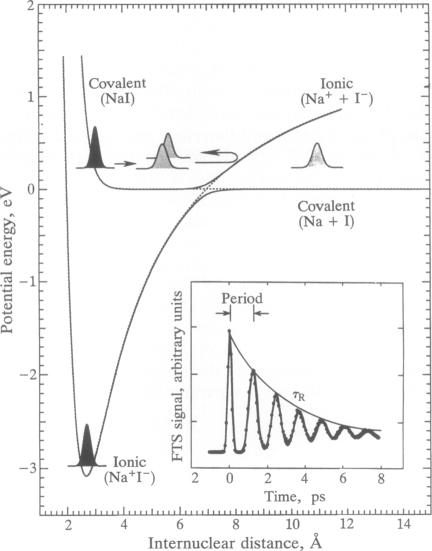 graphic file with name pnas01061-0469-a.jpg