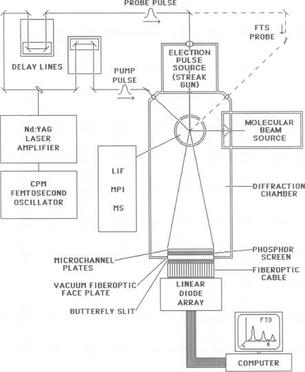 graphic file with name pnas01061-0468-a.jpg