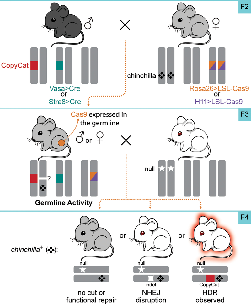 Figure 2 |