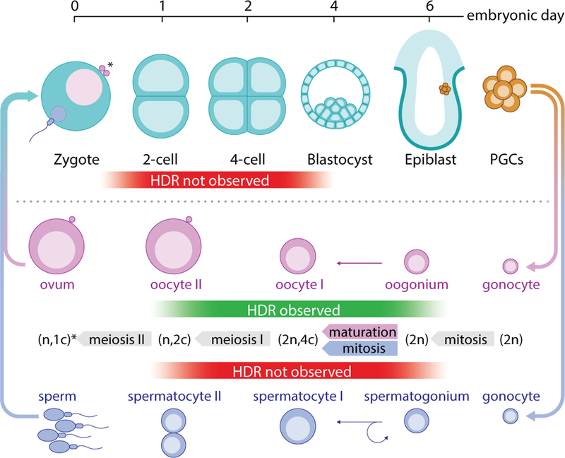 Figure 3 |