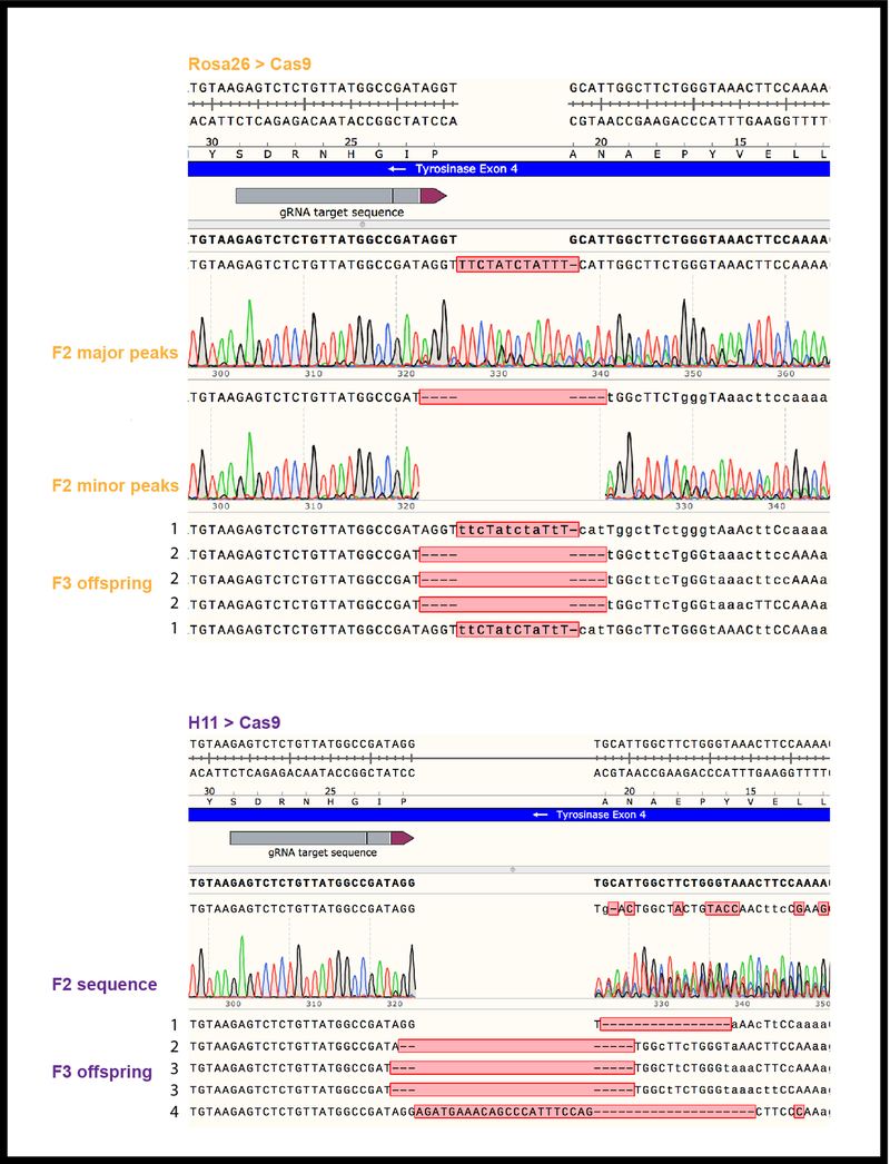 Extended data figure 2