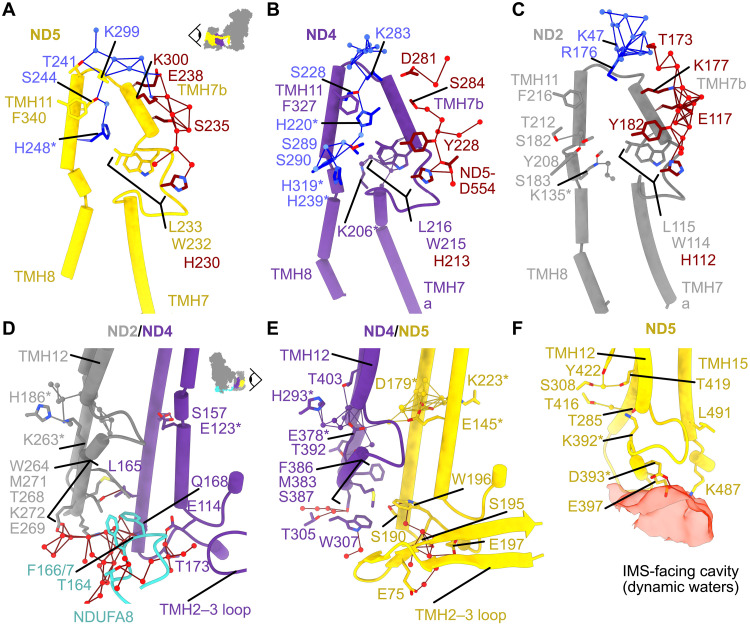 Fig. 4.