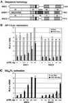 Fig 3.