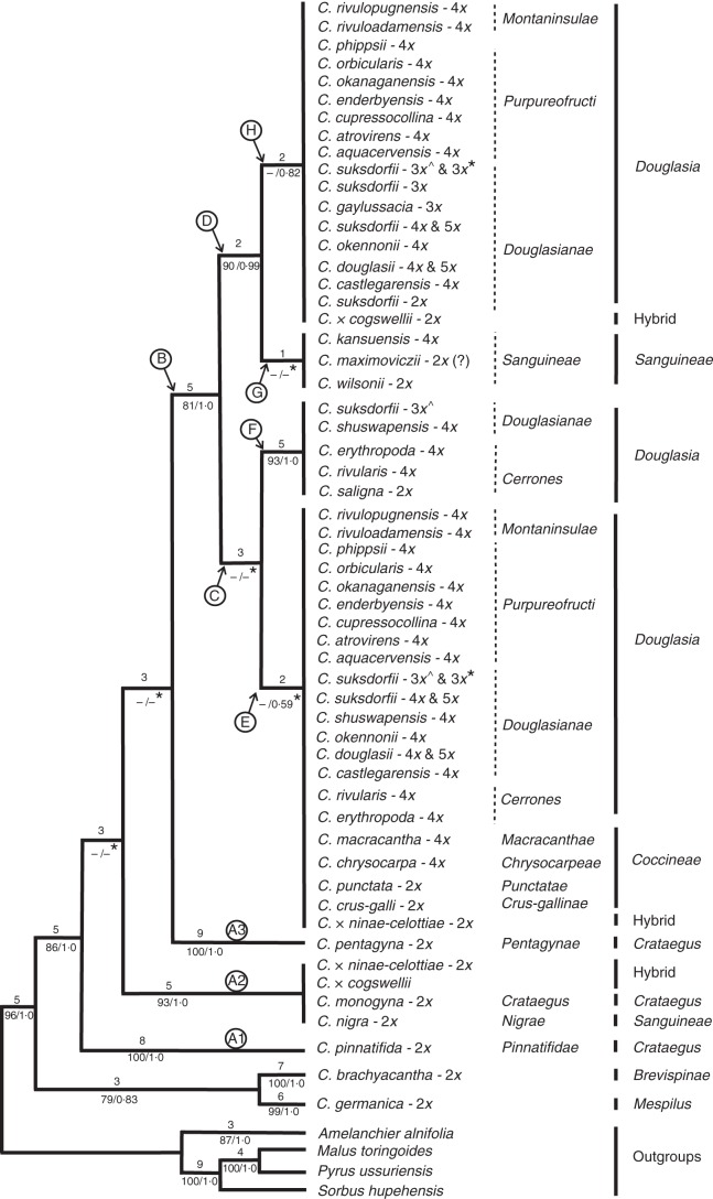 Fig. 3.