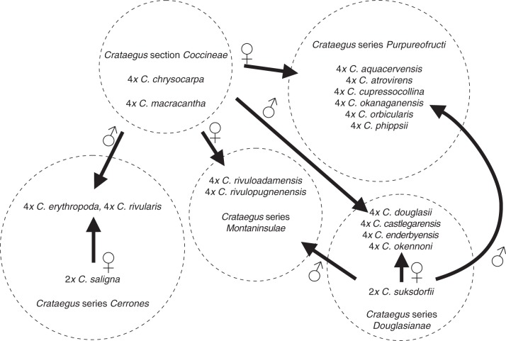 Fig. 6.