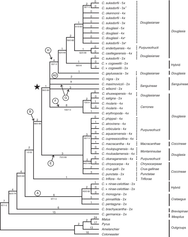 Fig. 4.