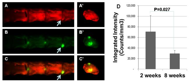 Figure1