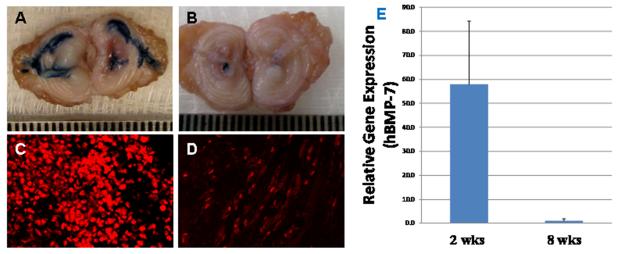 Figure2