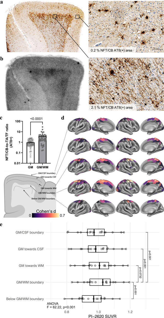 Fig. 7