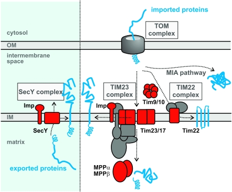 FIG. 6.