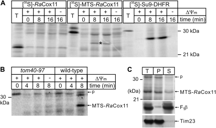 FIG. 5.