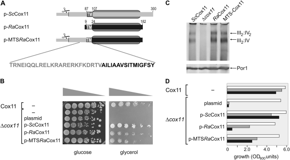 FIG. 3.