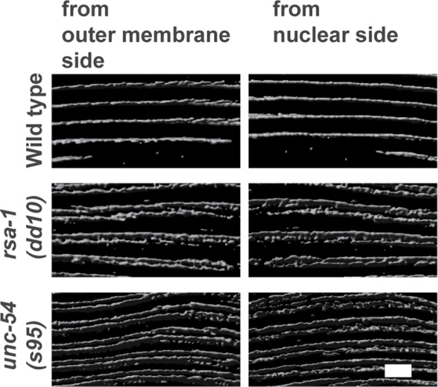 FIGURE 9: