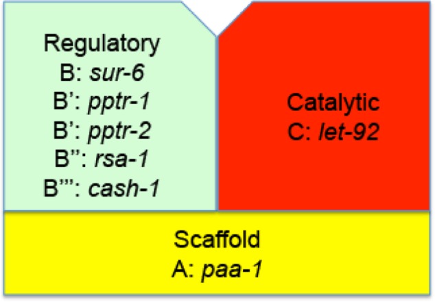 FIGURE 6: