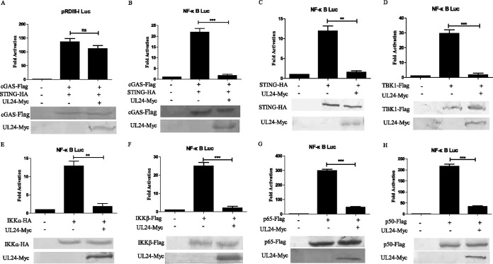 FIG 2