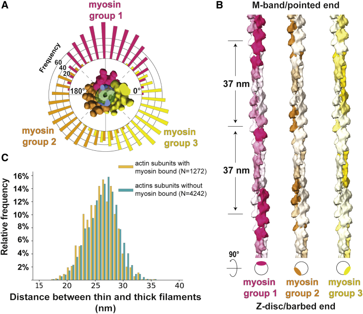 Figure 4