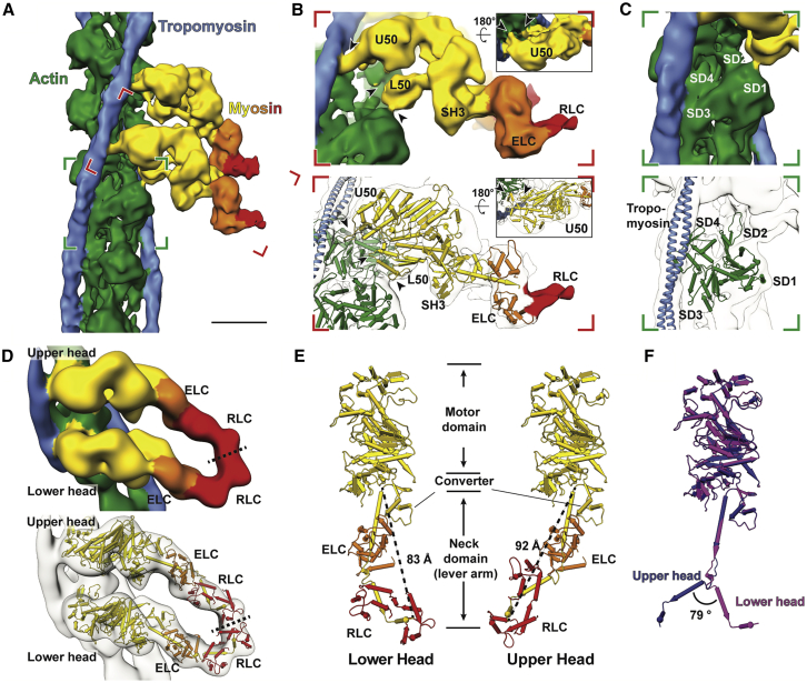 Figure 2