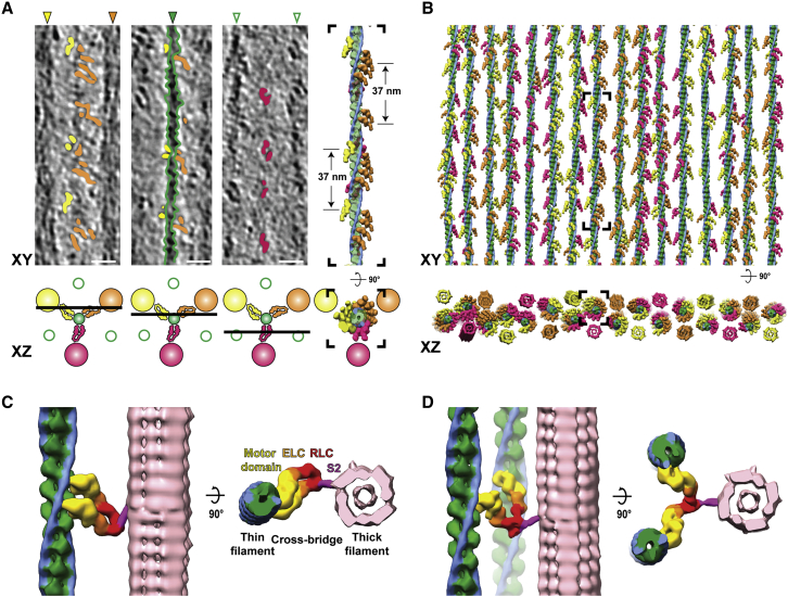 Figure 3