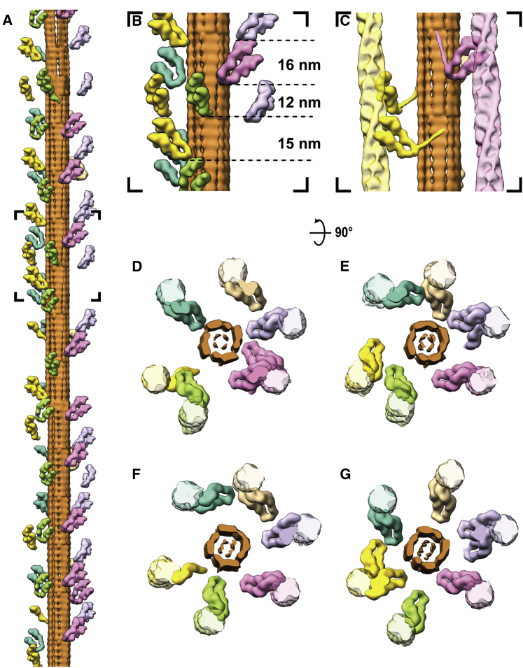 Figure 5