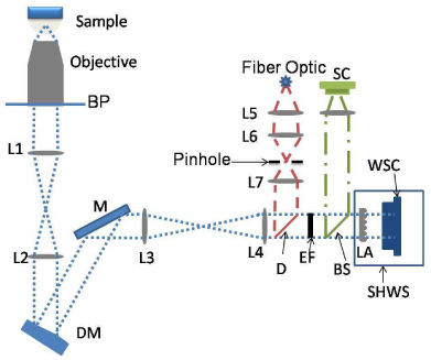 Fig. 1