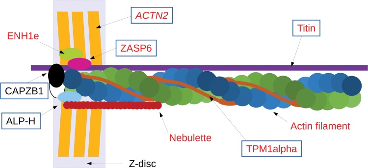 Fig 4