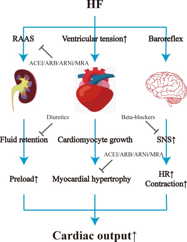 Fig. 2