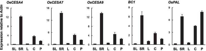 Fig. 6